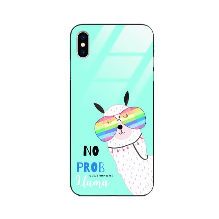 Etui Apple IPHONE X / XS, ST_FCG_2020-1_131 Wzory - FunnyCase