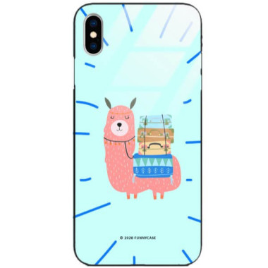 Etui Apple IPHONE X / XS, ST_FCG_2020-1_139 Wzory - FunnyCase