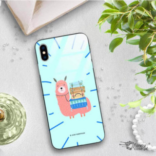 Etui Apple IPHONE X / XS, ST_FCG_2020-1_139 Wzory - FunnyCase