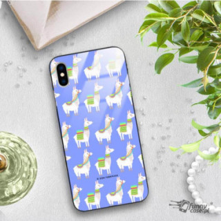 Etui Apple IPHONE X / XS, ST_FCG_2020-1_143 Wzory - FunnyCase