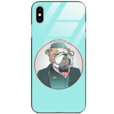 Etui Apple IPHONE X / XS, ST_FCG_2020-1_145 Wzory - FunnyCase