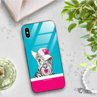 Etui Apple IPHONE X / XS, ST_FCG_2020-1_148 Wzory - FunnyCase