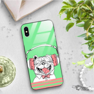 Etui Apple IPHONE X / XS, ST_FCG_2020-1_149 Wzory - FunnyCase