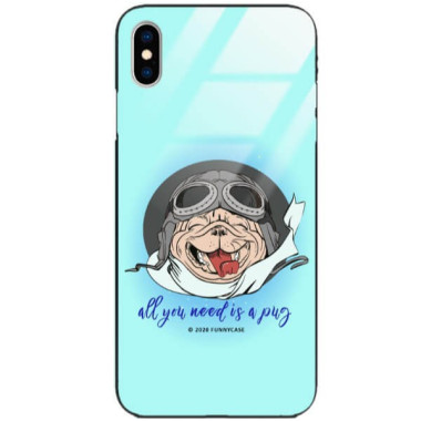 Etui Apple IPHONE X / XS, ST_FCG_2020-1_150 Wzory - FunnyCase