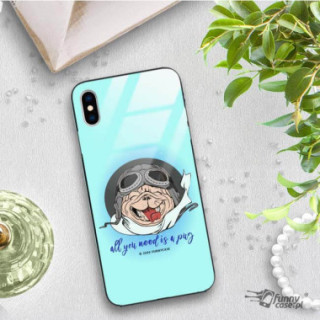 Etui Apple IPHONE X / XS, ST_FCG_2020-1_150 Wzory - FunnyCase