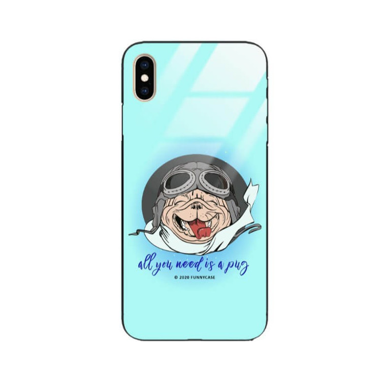 Etui Apple IPHONE XS MAX, ST_FCG_2020-1_150 Wzory - FunnyCase