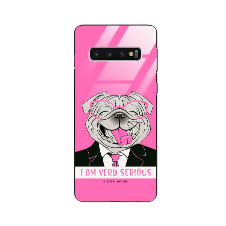 Etui Samsung GALAXY S10, ST_FCG_2020-1_151 Wzory - FunnyCase