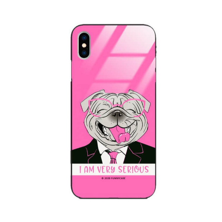 Etui Apple IPHONE X / XS, ST_FCG_2020-1_151 Wzory - FunnyCase