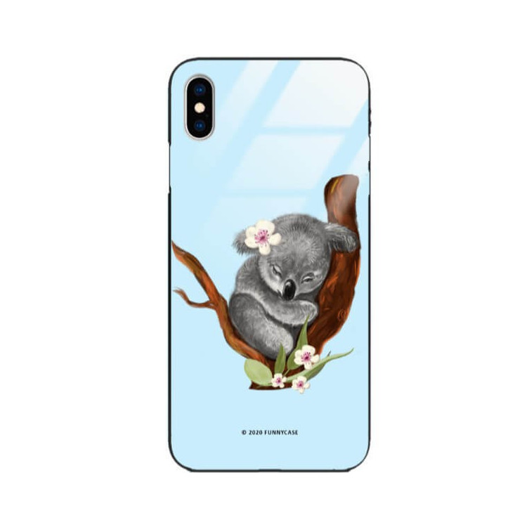 Etui Apple IPHONE X / XS, ST_FCG_2020-1_161 Wzory - FunnyCase