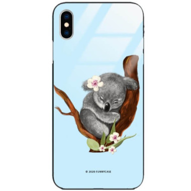 Etui Apple IPHONE X / XS, ST_FCG_2020-1_161 Wzory - FunnyCase