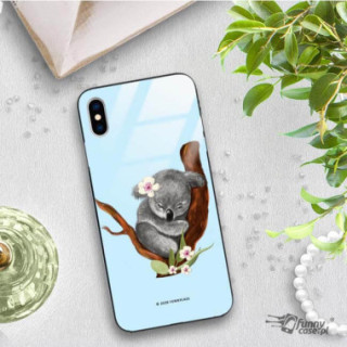 Etui Apple IPHONE X / XS, ST_FCG_2020-1_161 Wzory - FunnyCase