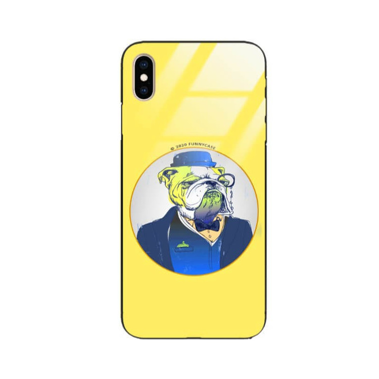 Etui Apple IPHONE XS MAX, ST_FCG_2020-1_164 Wzory - FunnyCase