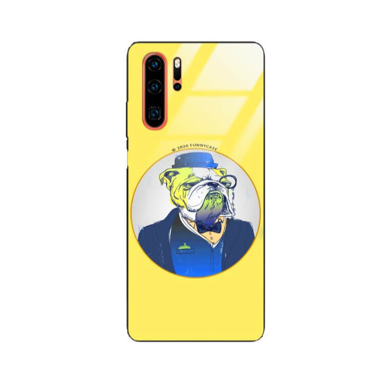 Etui Huawei P30 PRO, ST_FCG_2020-1_164 Wzory - FunnyCase