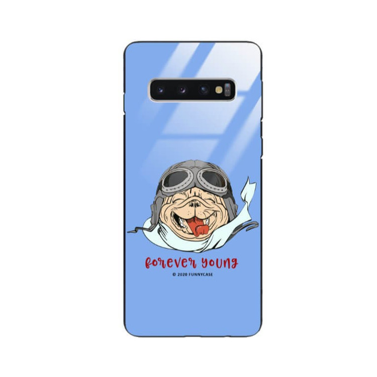 Etui Samsung GALAXY S10, ST_FCG_2020-1_165 Wzory - FunnyCase