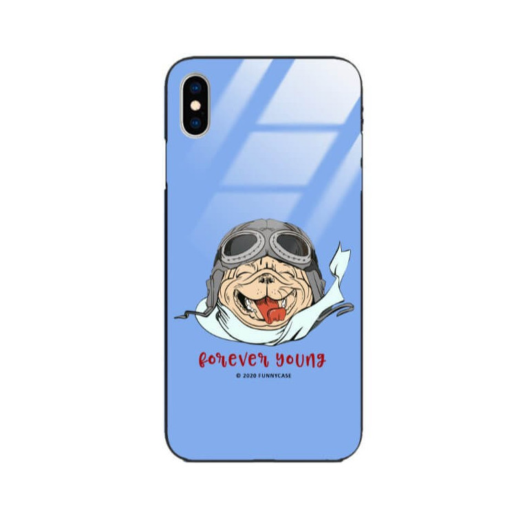 Etui Apple IPHONE X / XS, ST_FCG_2020-1_165 Wzory - FunnyCase