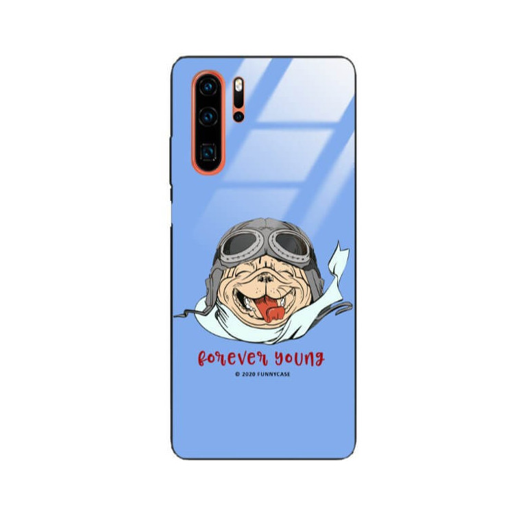 Etui Huawei P30 PRO, ST_FCG_2020-1_165 Wzory - FunnyCase