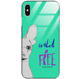 Etui Apple IPHONE X / XS, ST_FCG_2020-1_167 Wzory - FunnyCase