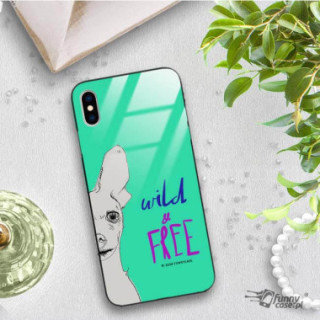 Etui Apple IPHONE X / XS, ST_FCG_2020-1_167 Wzory - FunnyCase