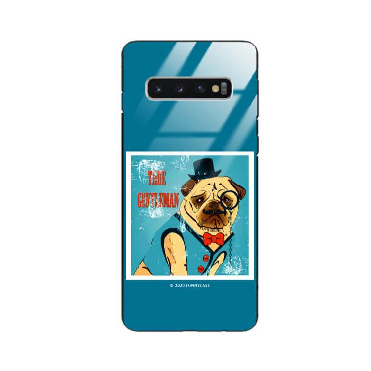 Etui Samsung GALAXY S10, ST_FCG_2020-1_168 Wzory - FunnyCase