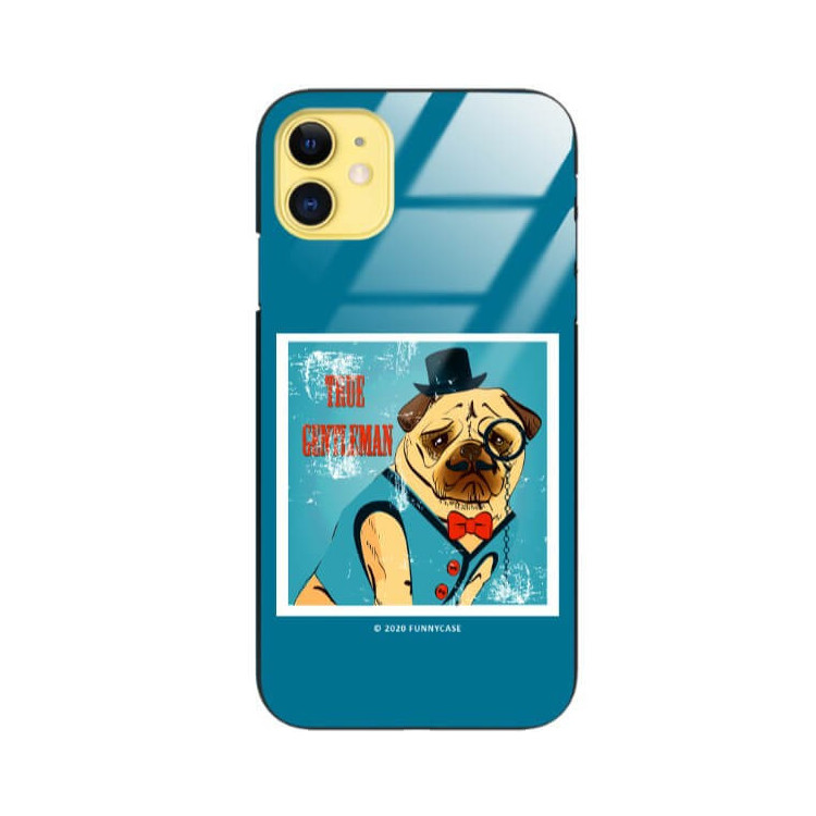 Etui Apple IPHONE 11, ST_FCG_2020-1_168 Wzory - FunnyCase