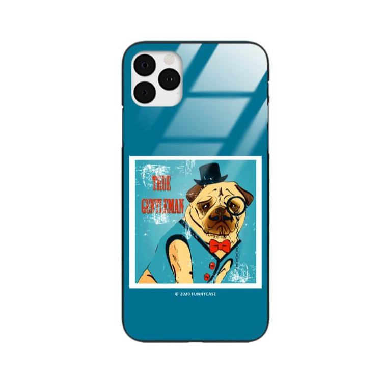 Etui Apple IPHONE 11 PRO MAX, ST_FCG_2020-1_168 Wzory - FunnyCase