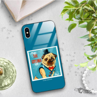 Etui Apple IPHONE X / XS, ST_FCG_2020-1_168 Wzory - FunnyCase