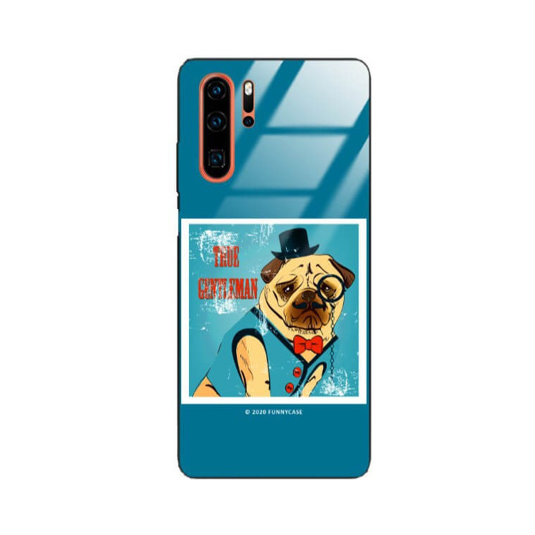 Etui Huawei P30 PRO, ST_FCG_2020-1_168 Wzory - FunnyCase