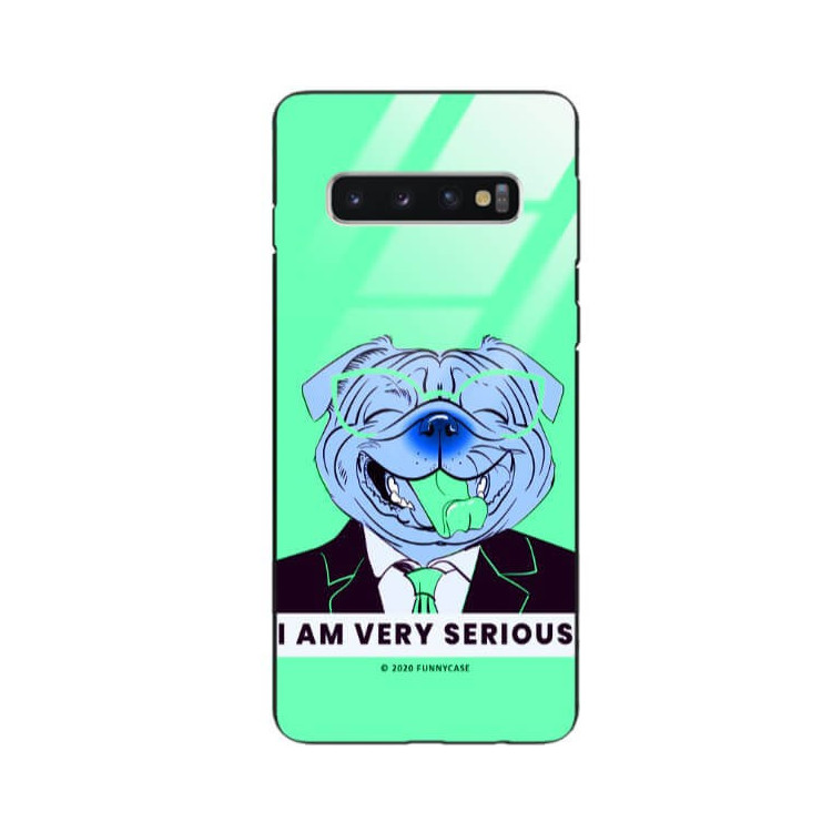 Etui Samsung GALAXY S10, ST_FCG_2020-1_169 Wzory - FunnyCase