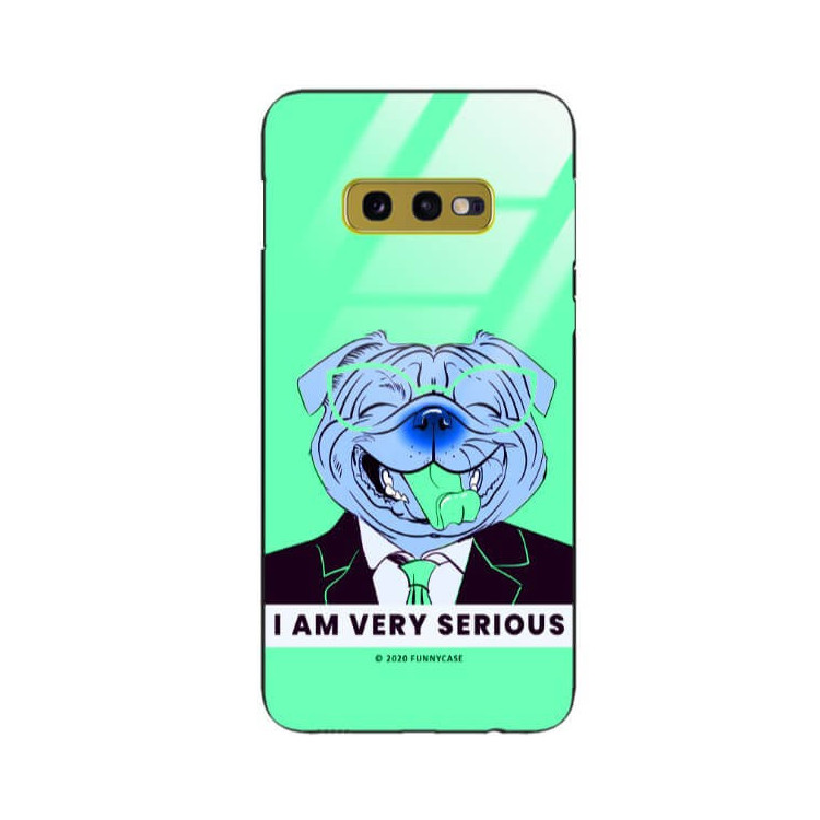 Etui Samsung GALAXY S10E, ST_FCG_2020-1_169 Wzory - FunnyCase