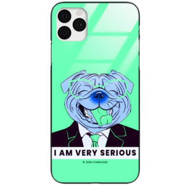 Etui Apple IPHONE 11 PRO MAX, ST_FCG_2020-1_169 Wzory - FunnyCase