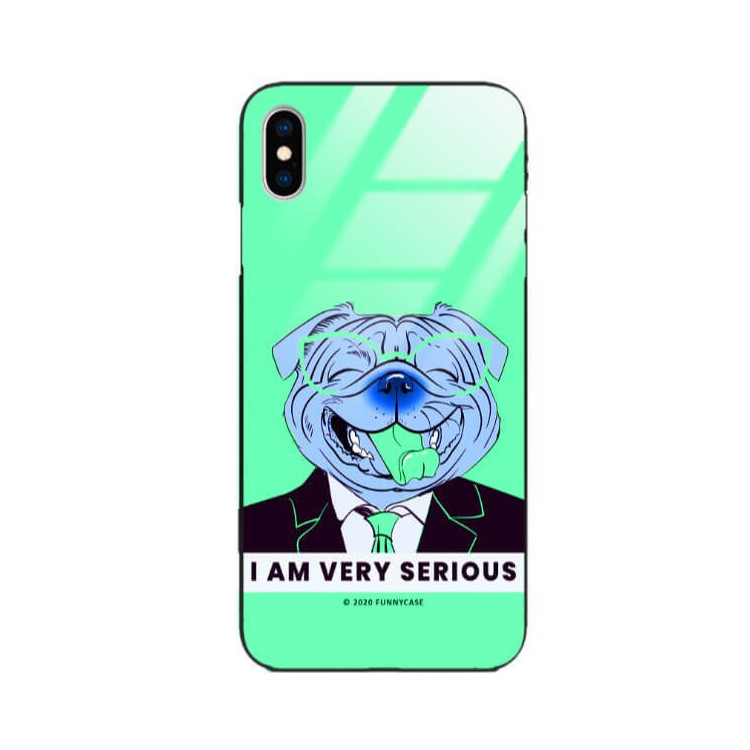 Etui Apple IPHONE X / XS, ST_FCG_2020-1_169 Wzory - FunnyCase