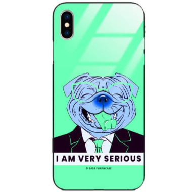 Etui Apple IPHONE X / XS, ST_FCG_2020-1_169 Wzory - FunnyCase