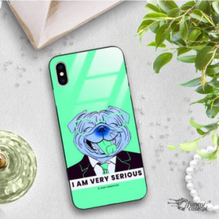 Etui Apple IPHONE X / XS, ST_FCG_2020-1_169 Wzory - FunnyCase