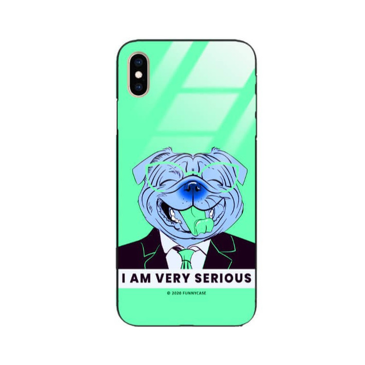 Etui Apple IPHONE XS MAX, ST_FCG_2020-1_169 Wzory - FunnyCase