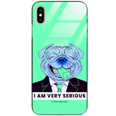 Etui Apple IPHONE XS MAX, ST_FCG_2020-1_169 Wzory - FunnyCase