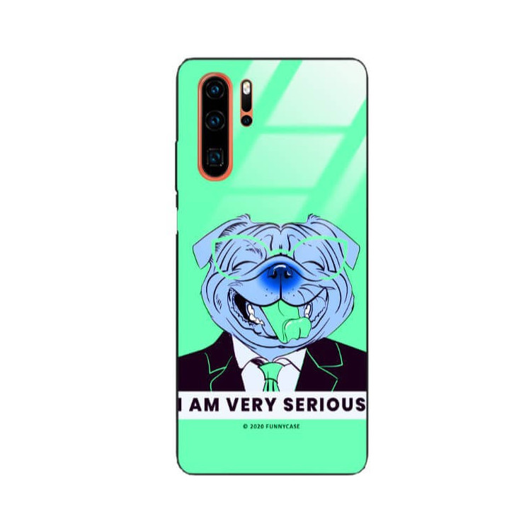 Etui Huawei P30 PRO, ST_FCG_2020-1_169 Wzory - FunnyCase