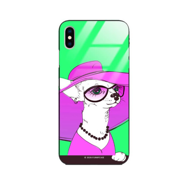 Etui Apple IPHONE X / XS, ST_FCG_2020-1_170 Wzory - FunnyCase