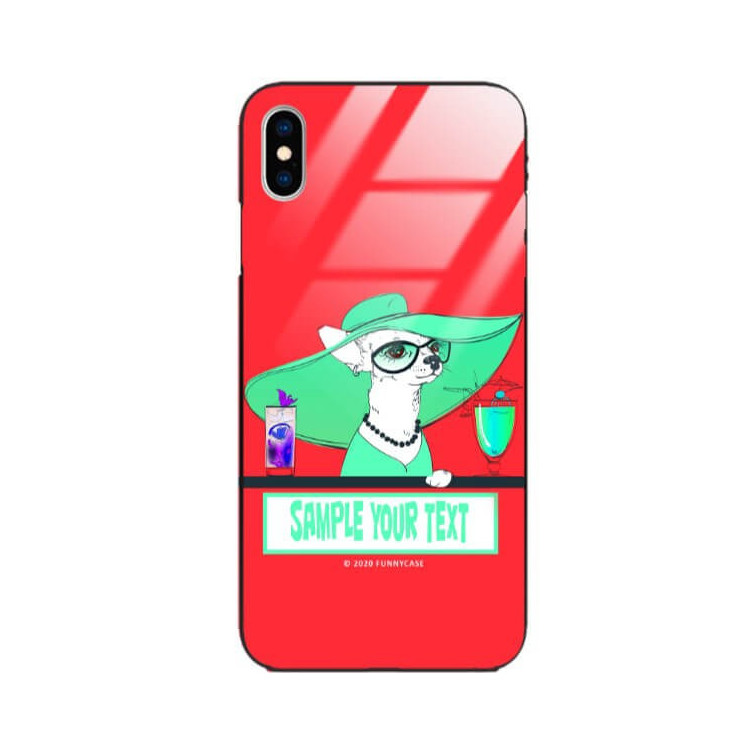 Etui Apple IPHONE X / XS, ST_FCG_2020-1_171 Wzory - FunnyCase