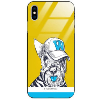 Etui Apple IPHONE X / XS, ST_FCG_2020-1_174 Wzory - FunnyCase