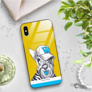 Etui Apple IPHONE X / XS, ST_FCG_2020-1_174 Wzory - FunnyCase