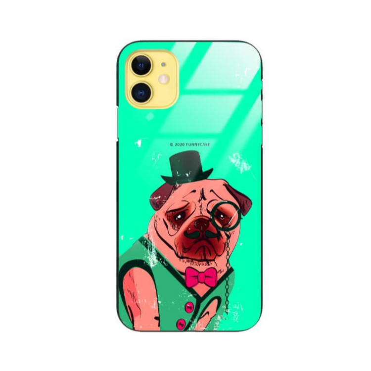 Etui Apple IPHONE 11, ST_FCG_2020-1_176 Wzory - FunnyCase