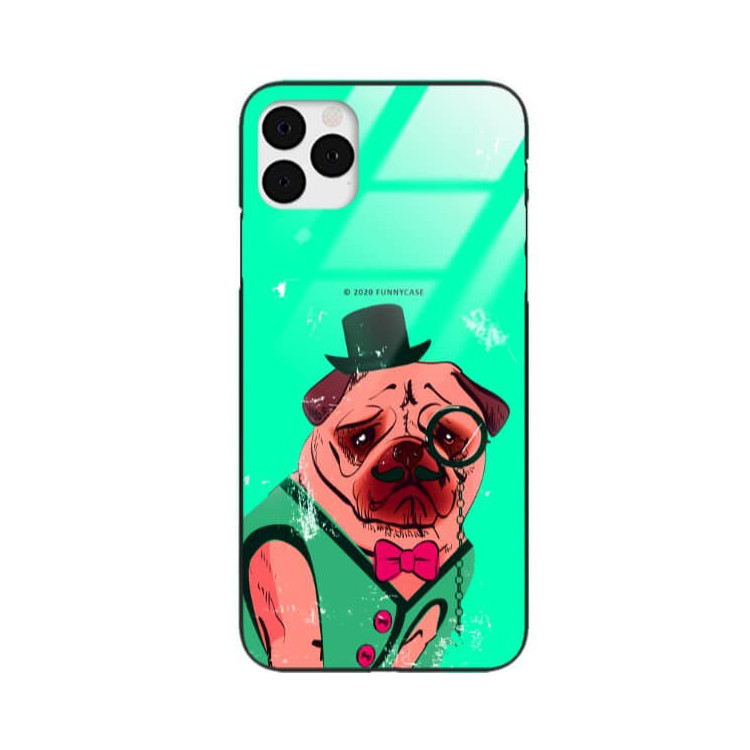 Etui Apple IPHONE 11 PRO MAX, ST_FCG_2020-1_176 Wzory - FunnyCase