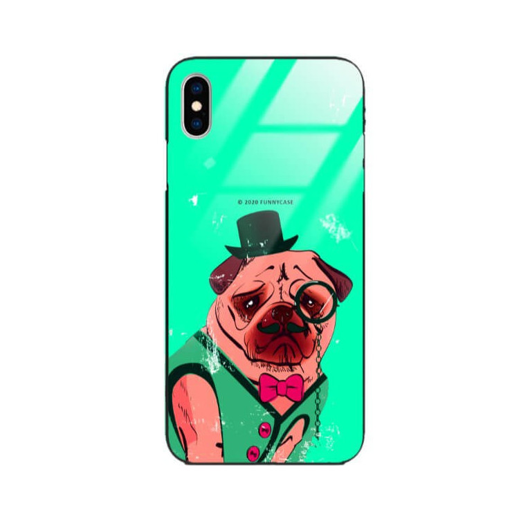 Etui Apple IPHONE X / XS, ST_FCG_2020-1_176 Wzory - FunnyCase