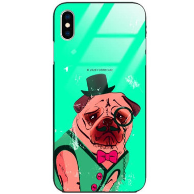 Etui Apple IPHONE X / XS, ST_FCG_2020-1_176 Wzory - FunnyCase