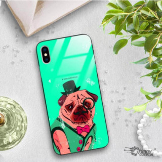 Etui Apple IPHONE X / XS, ST_FCG_2020-1_176 Wzory - FunnyCase