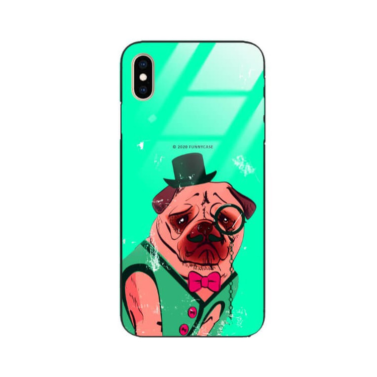 Etui Apple IPHONE XS MAX, ST_FCG_2020-1_176 Wzory - FunnyCase