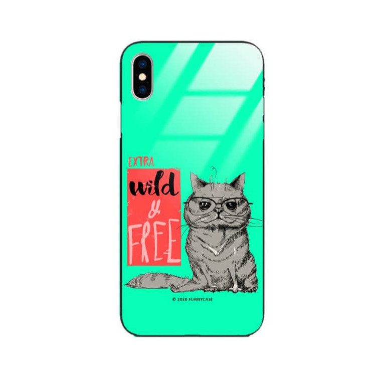 Etui Apple IPHONE X / XS, ST_FCG_2020-1_179 Wzory - FunnyCase