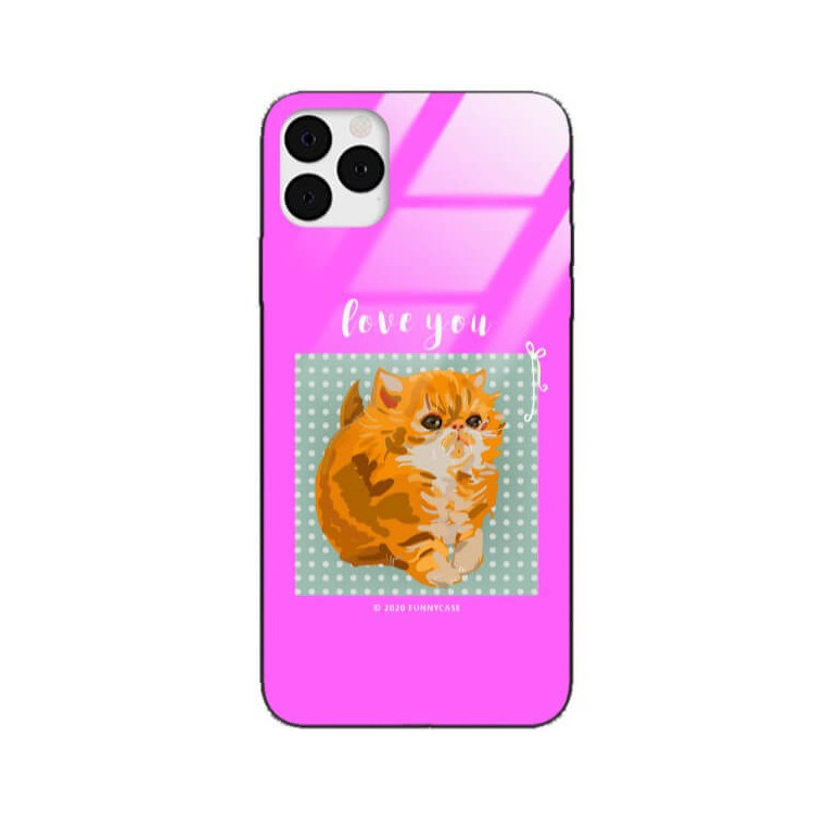 Etui Apple IPHONE 11 PRO, ST_FCG_2020-1_181 Wzory - FunnyCase