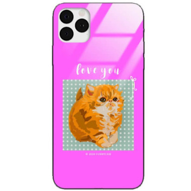 Etui Apple IPHONE 11 PRO, ST_FCG_2020-1_181 Wzory - FunnyCase