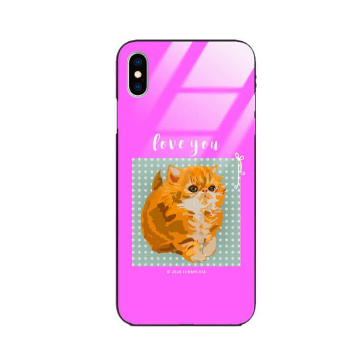 Etui Apple IPHONE X / XS, ST_FCG_2020-1_181 Wzory - FunnyCase